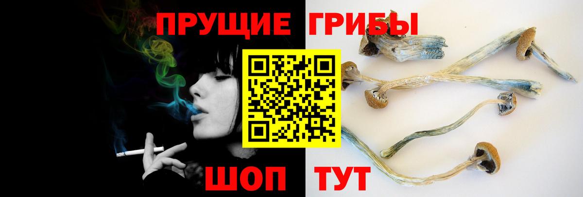 Псилоцибиновые грибы GOLDEN TEACHER Барнаул